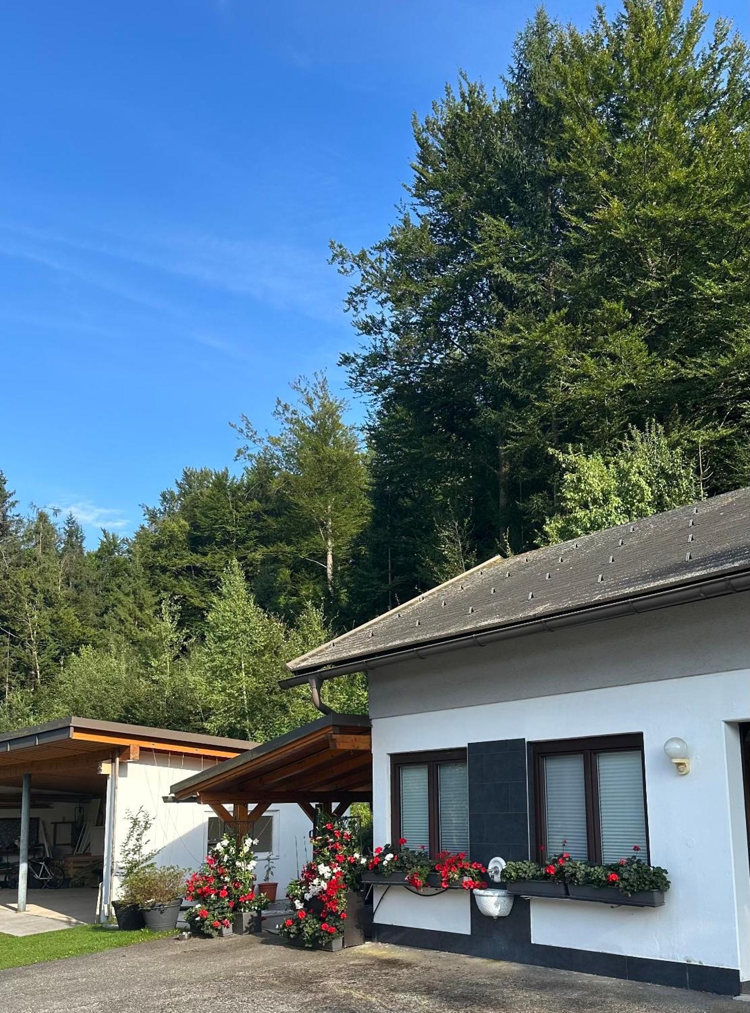 Ferienwohnung Waldblick, Faaker See Oberaichwald  Exterior photo